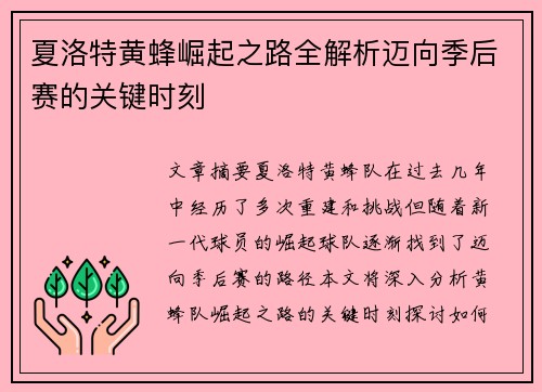 夏洛特黄蜂崛起之路全解析迈向季后赛的关键时刻